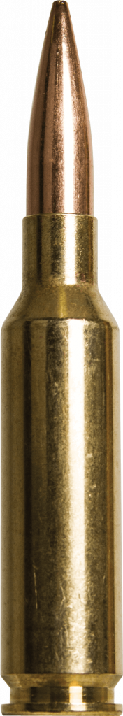 65-cm-cartridge.png