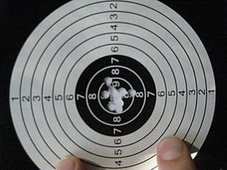 4576308.jpg