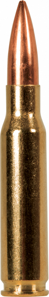 308-win-cartridge.png