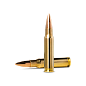 Патрон кал. 308 Win, 175gr Norma Golden Target